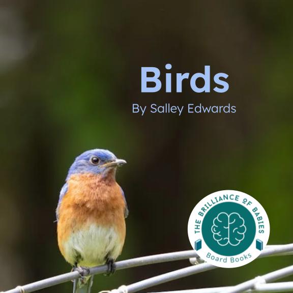 Birds book